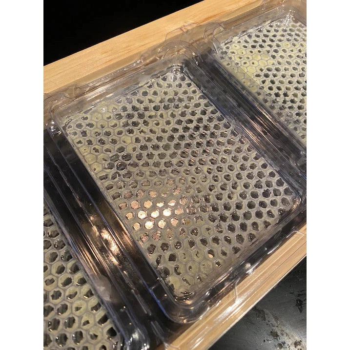 Simplkomb - Double Pack (Ships Directly From Warehouse)