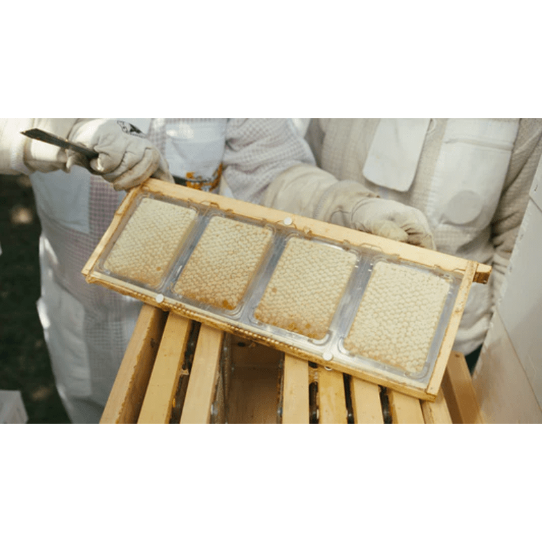 SimplKomb - Bunt Pack