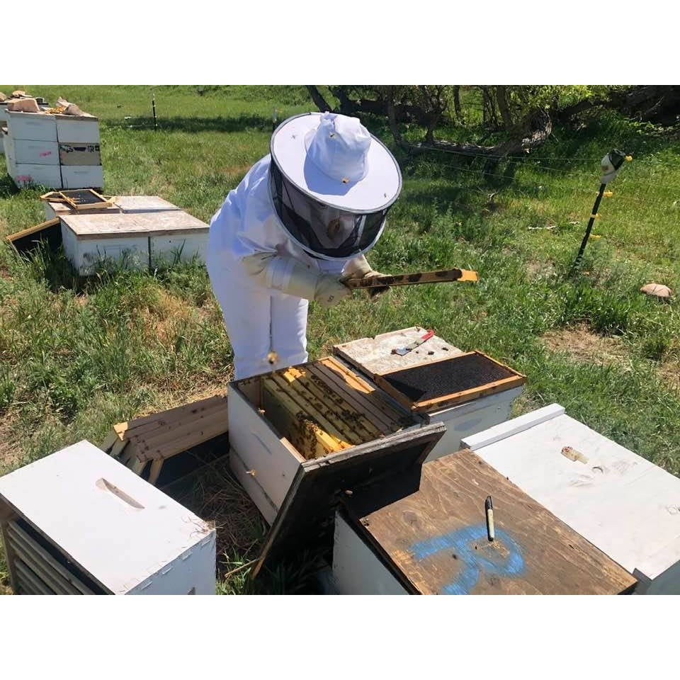 Beekeeping Class
