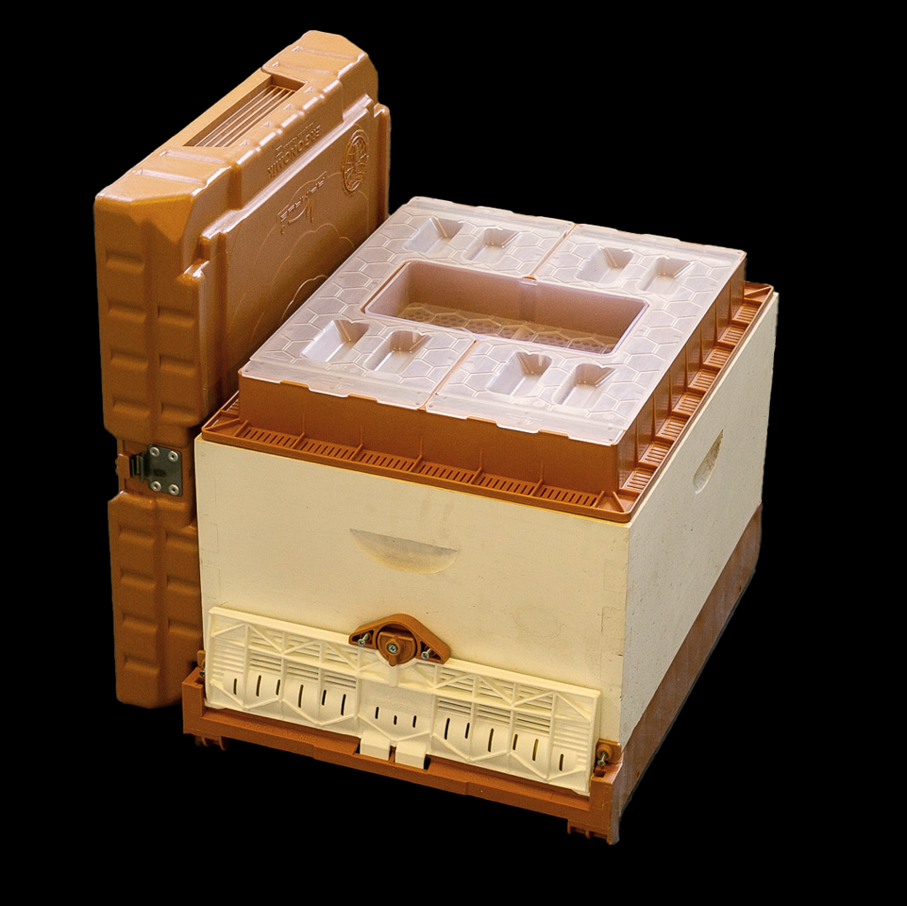 Apimaye Fusion Hive (qualifies for free shipping)