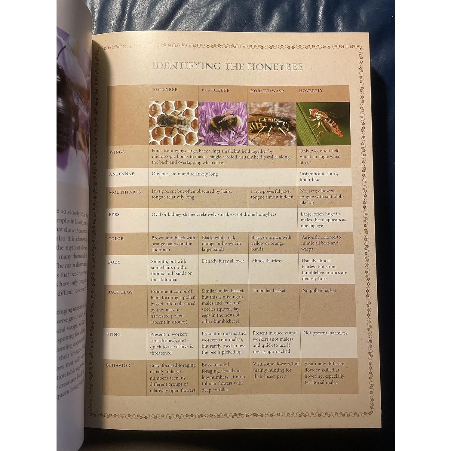 Book: The Beekeeper Bible