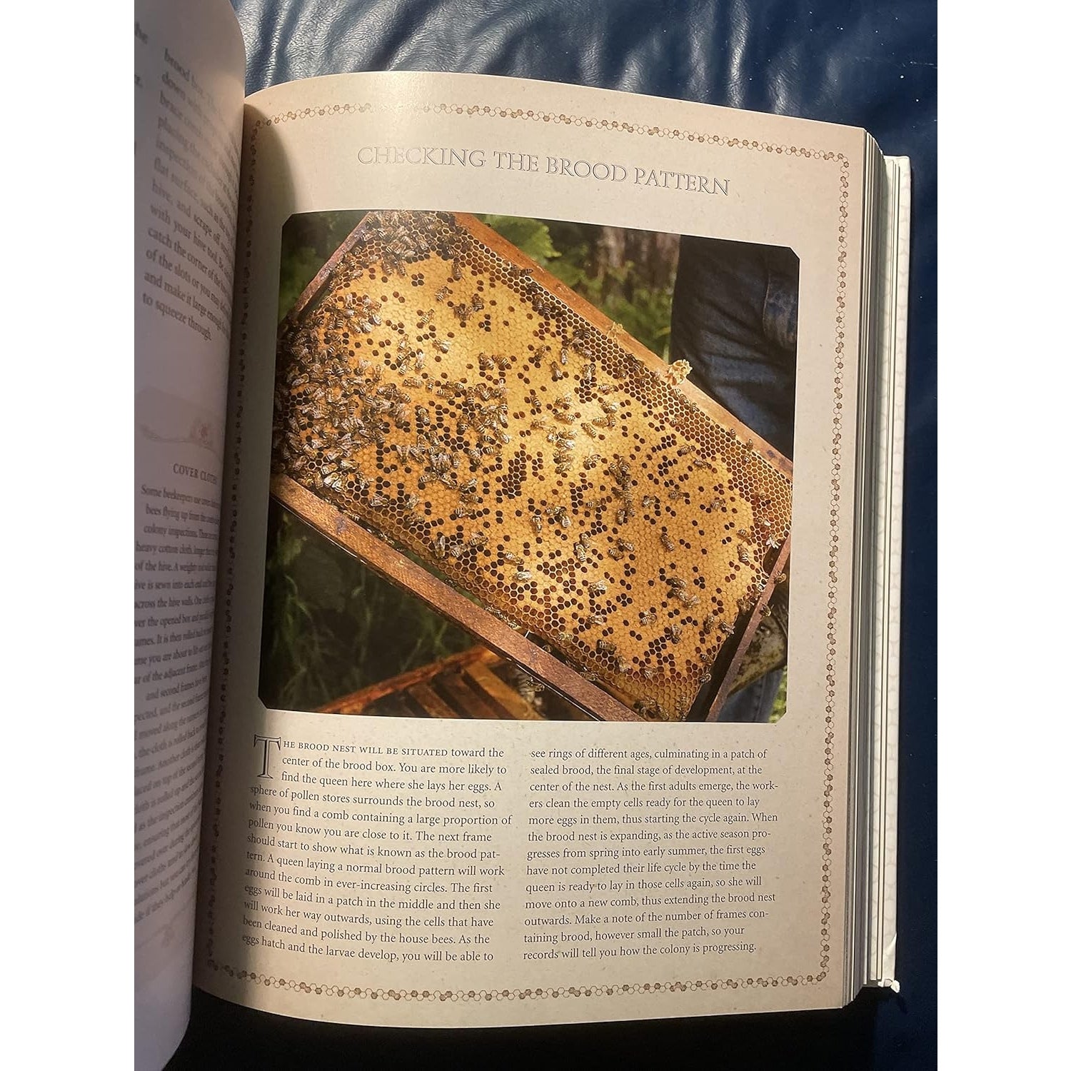 Book: The Beekeeper Bible