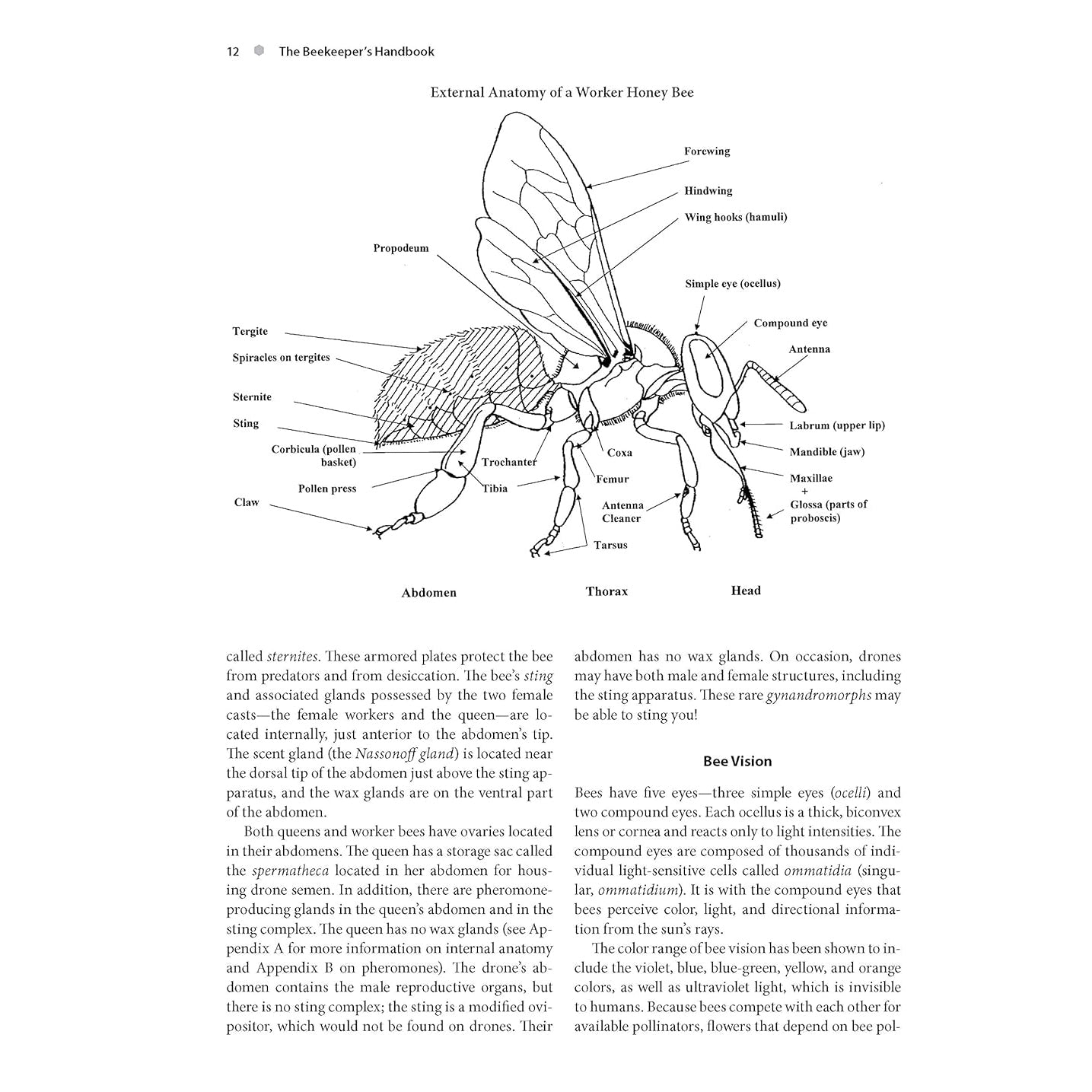 The Beekeeper&#39;s Handbook 5th Ed.