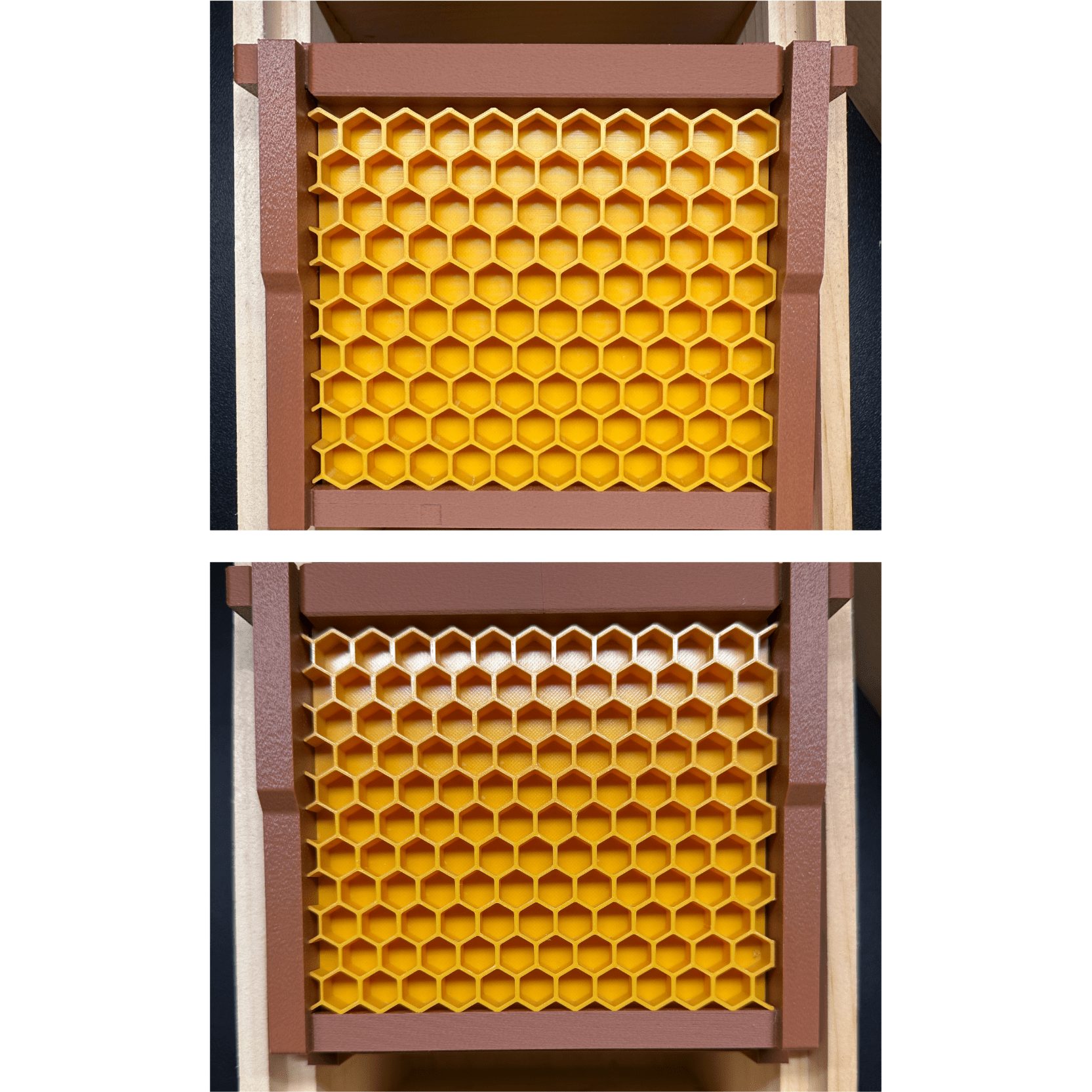 Educational Tool: Model Teaching Beehive (ships directly from warehouse)