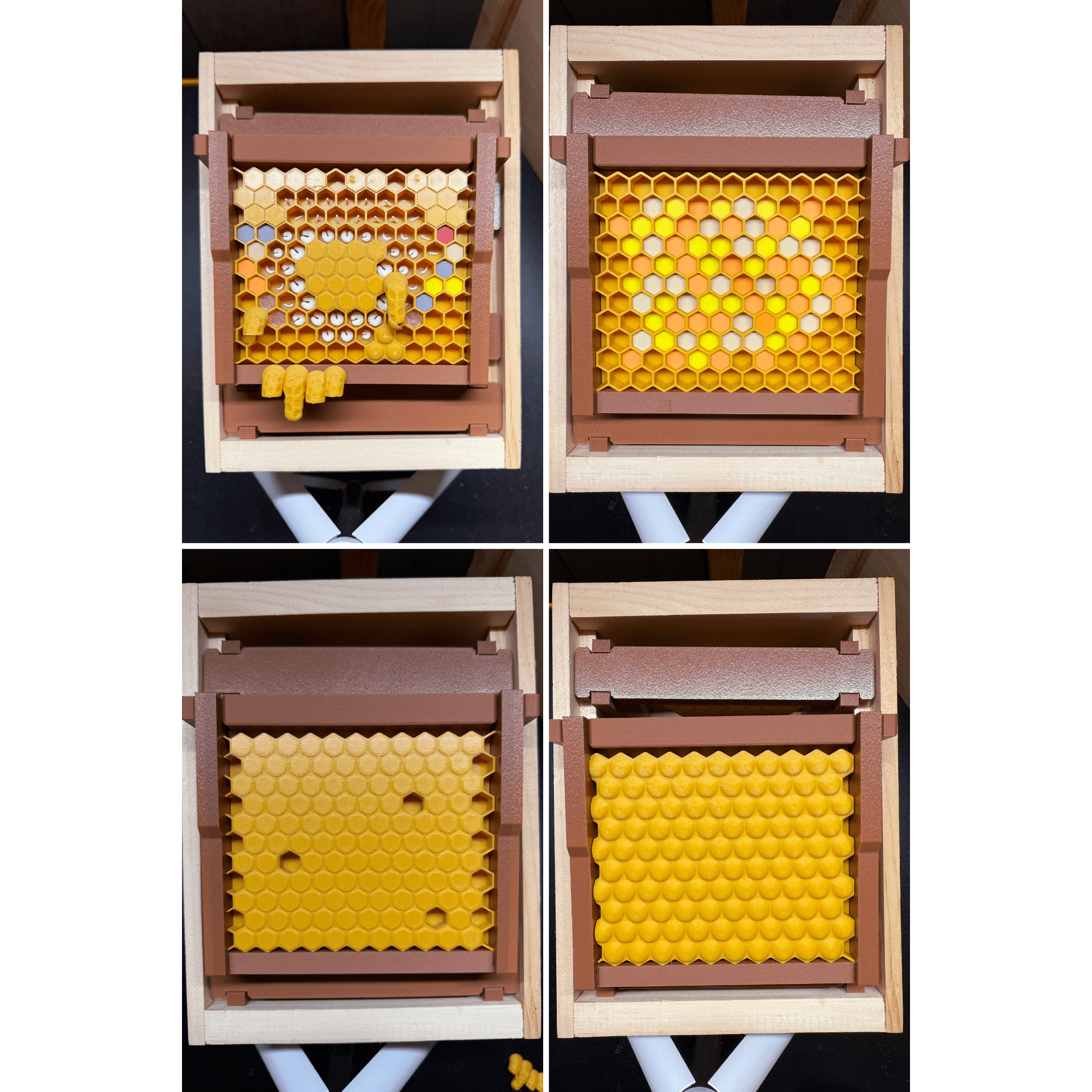 Educational Tool: Model Teaching Beehive (ships directly from warehouse)