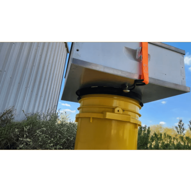 Everything Bee Vacuum 10 Frame Box Adapter