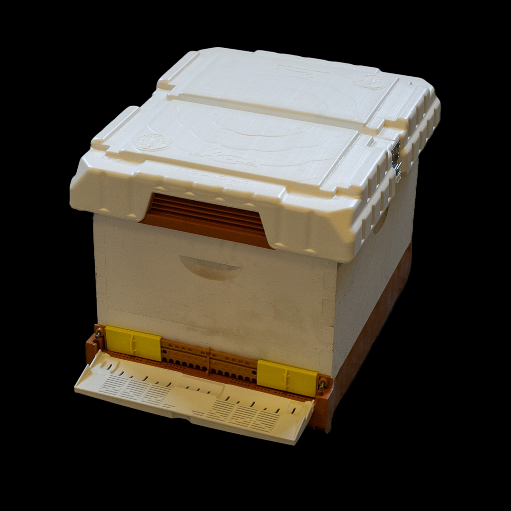 Apimaye Fusion Hive (qualifies for free shipping)