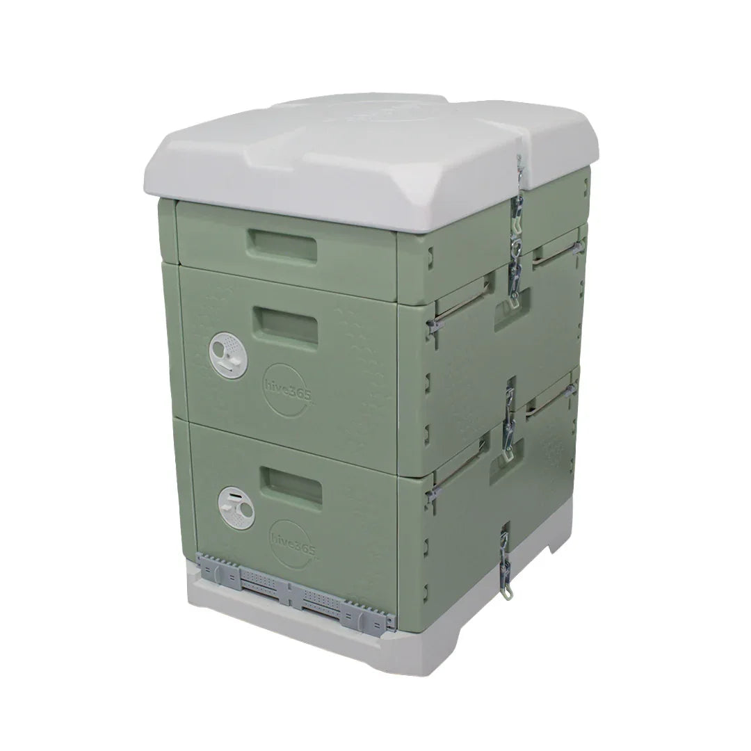 Hive365™ Premium Insulated Beehive - Double Deep Kit (Ships From Wareh