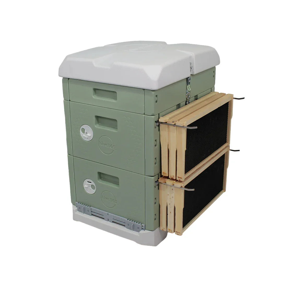 Hive365™ Premium Insulated Beehive - Double Deep Kit (Ships From Warehouse)