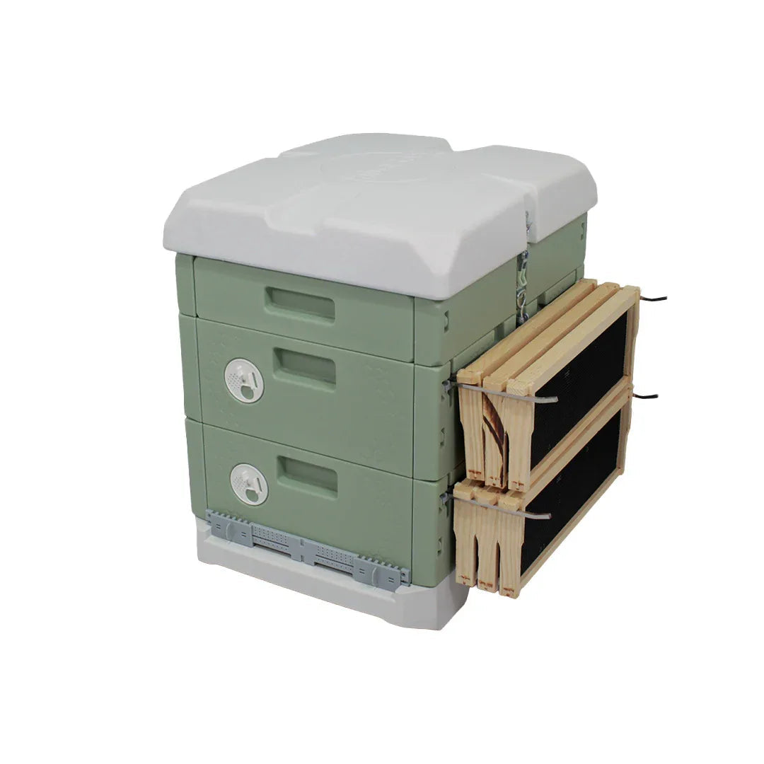 Hive365™ Premium Insulated Beehive - Double Medium Hive Kit (Ships From Warehouse)