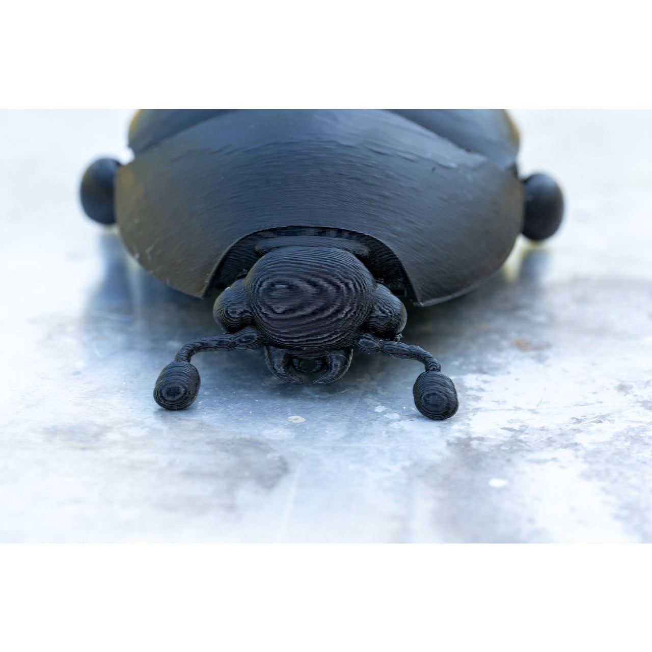 Educational Tool: 3D printed Small Hive Beetle (ships directly from warehouse)