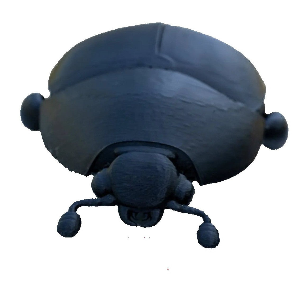 Educational Tool: 3D printed Small Hive Beetle (ships directly from warehouse)
