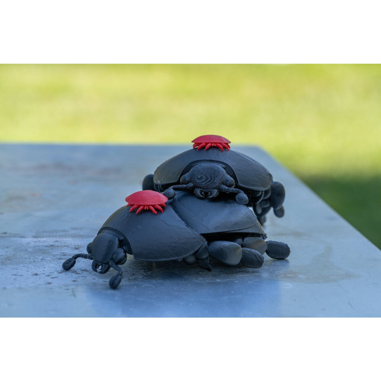 Educational Tool: 3D printed Small Hive Beetle (ships directly from warehouse)
