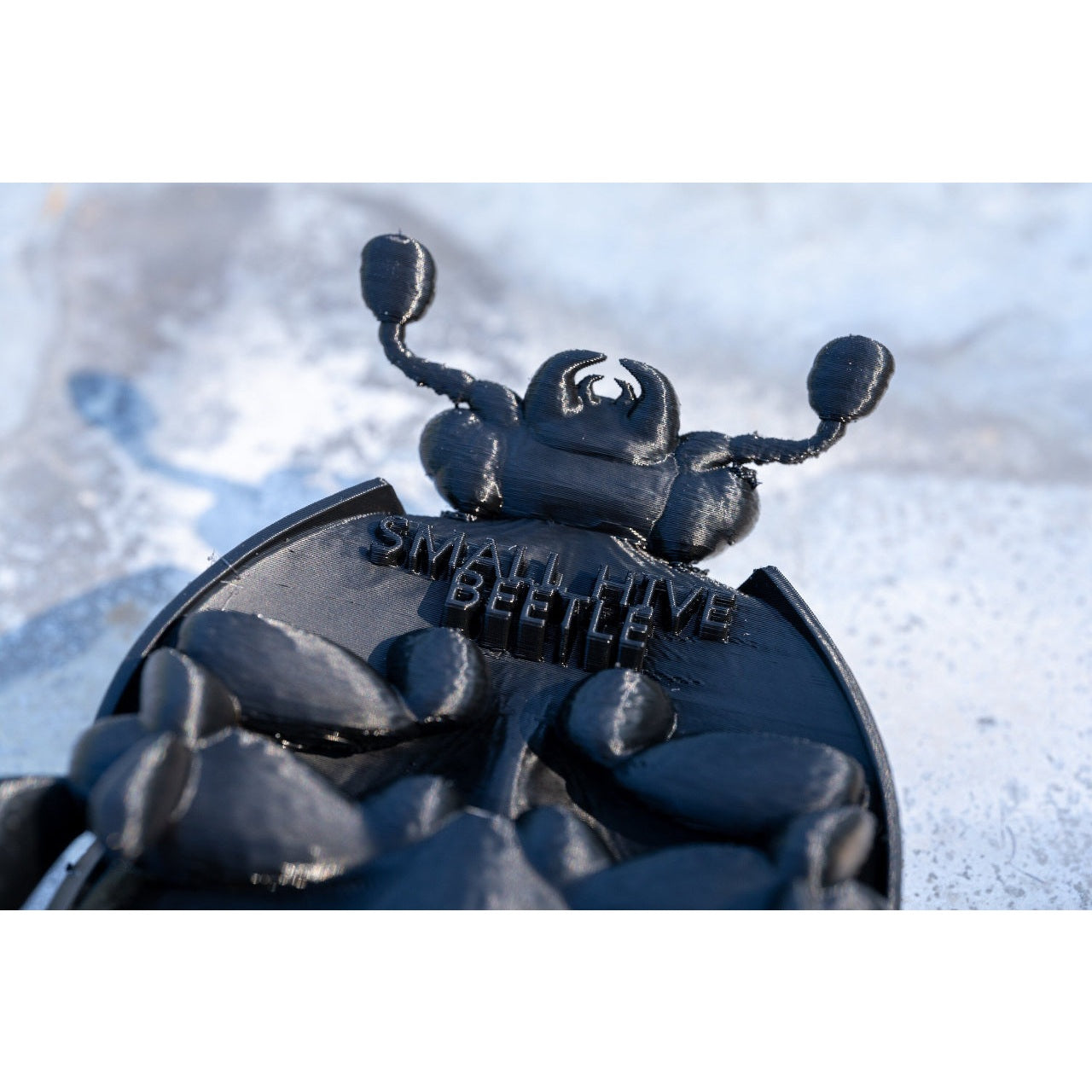 Educational Tool: 3D printed Small Hive Beetle (ships directly from warehouse)