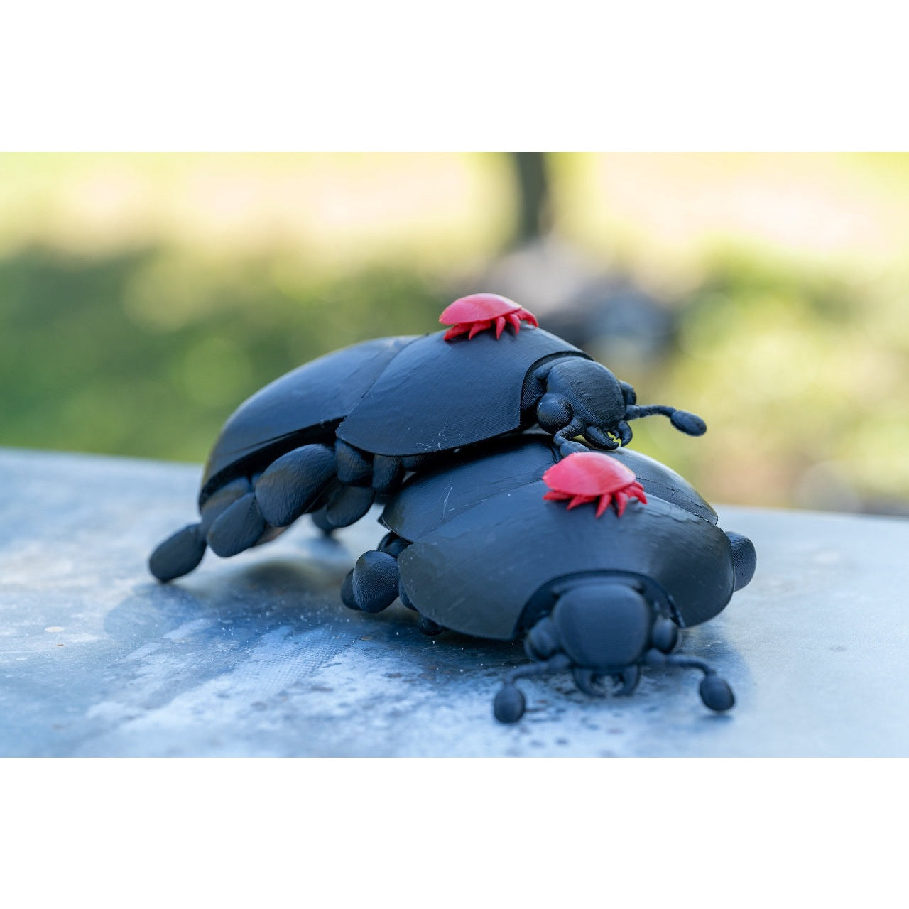 Educational Tool: 3D printed Small Hive Beetle (ships directly from warehouse)