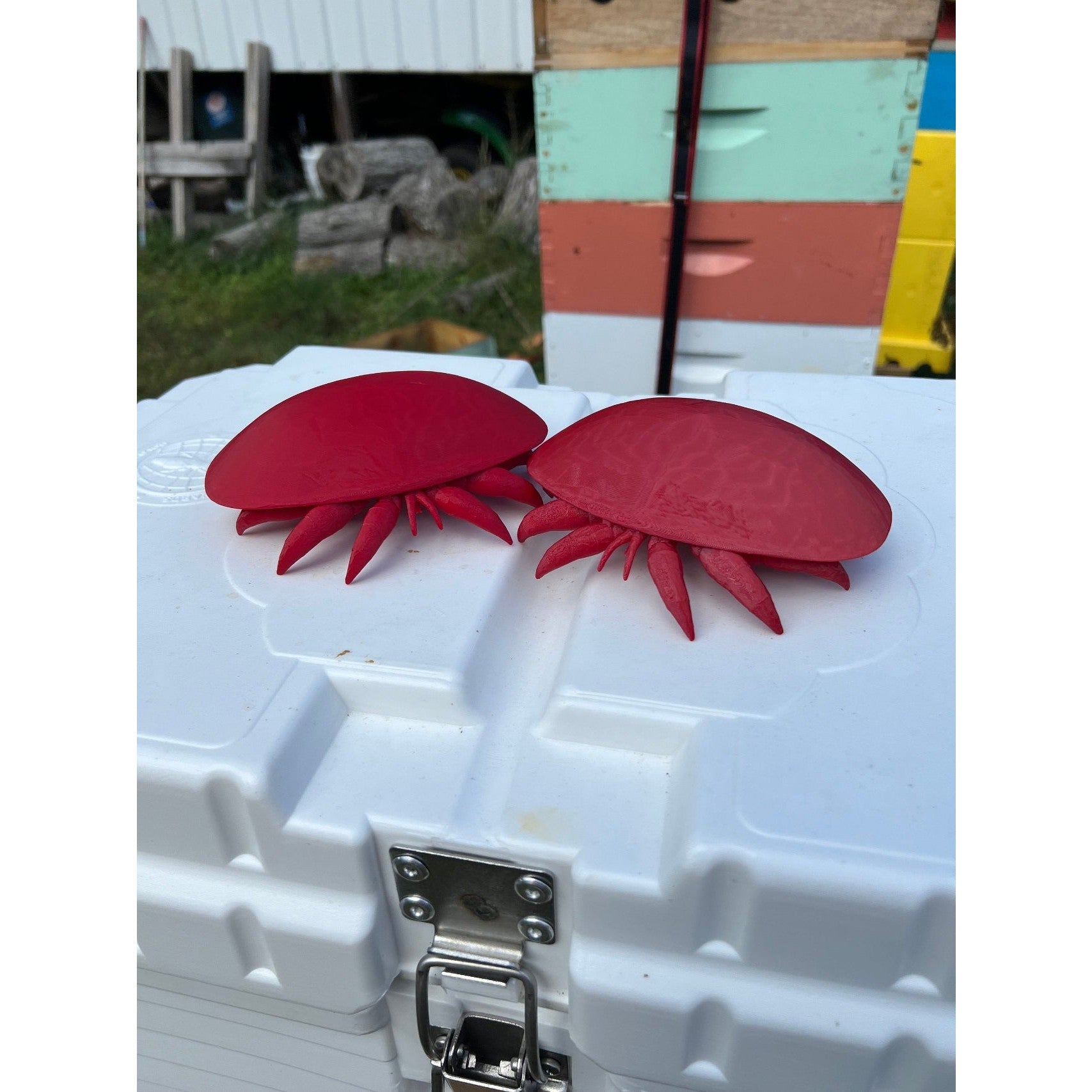 Educational Tool: Human-scale Varroa Mite (ships directly from warehouse)
