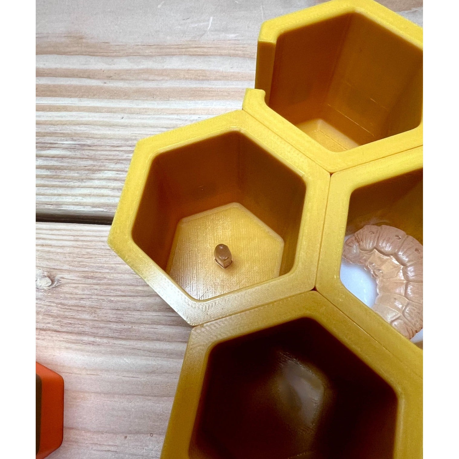 Educational Tool: Life in the Hive: A hands-on Honey Bee learning kit for beekeepers (ships directly from warehouse)