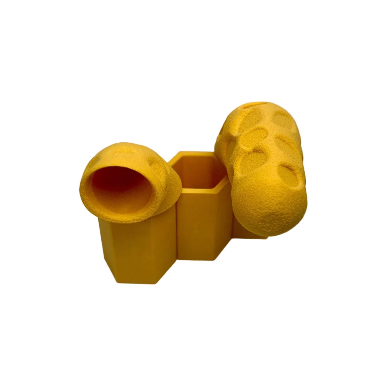 Educational Tool: Queen Cells for Life in the Hive (ships directly from warehouse)