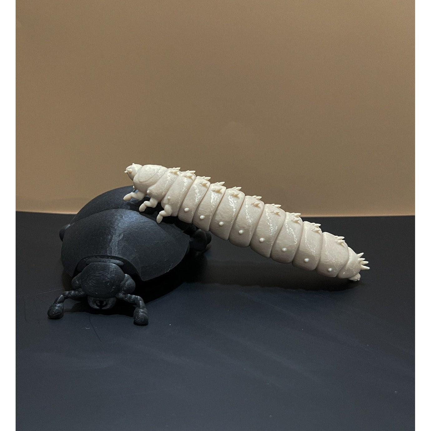 Educational Tool: 3D printed Small Hive Beetle Larva (ships directly from warehouse)