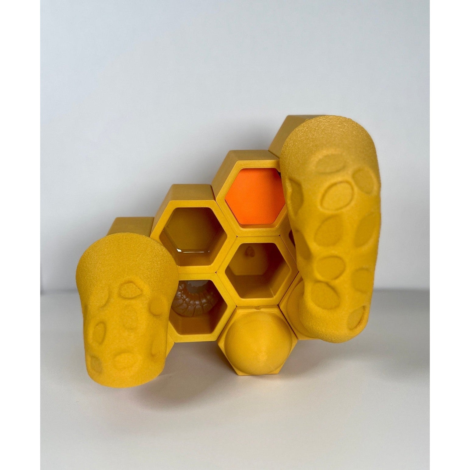 Educational Tool: Queen Cells for Life in the Hive (ships directly from warehouse)