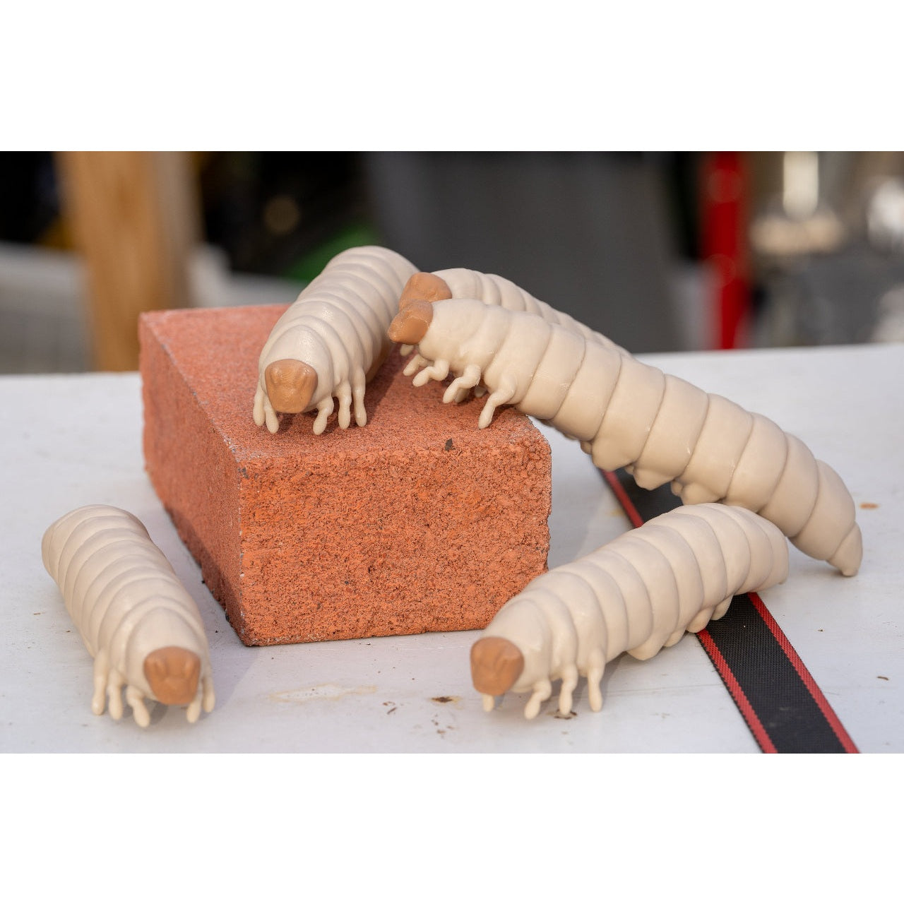 Educational Tool: 3D printed Wax Moth Larva model (ships directly from warehouse)