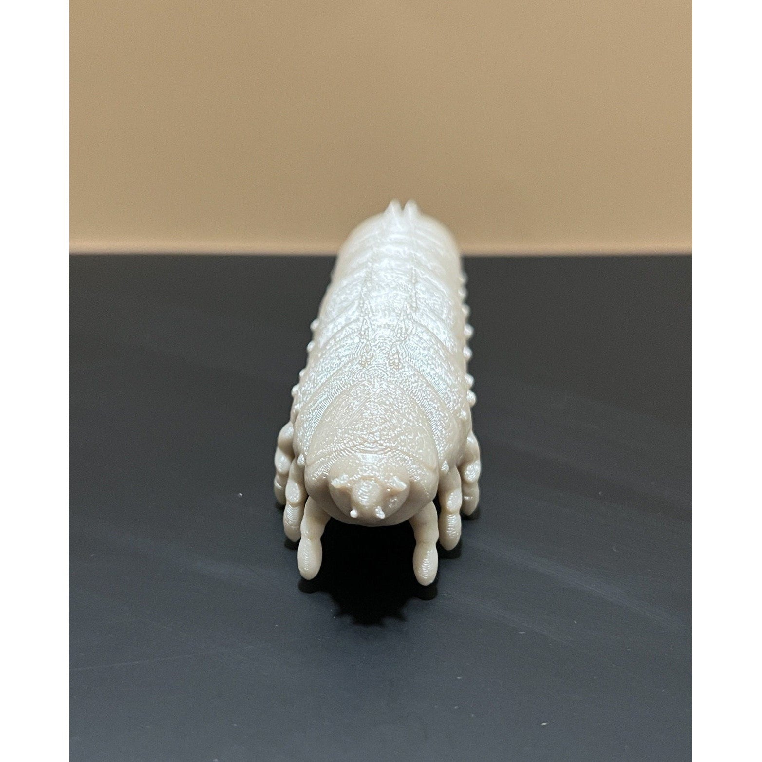 Educational Tool: 3D printed Small Hive Beetle Larva (ships directly from warehouse)