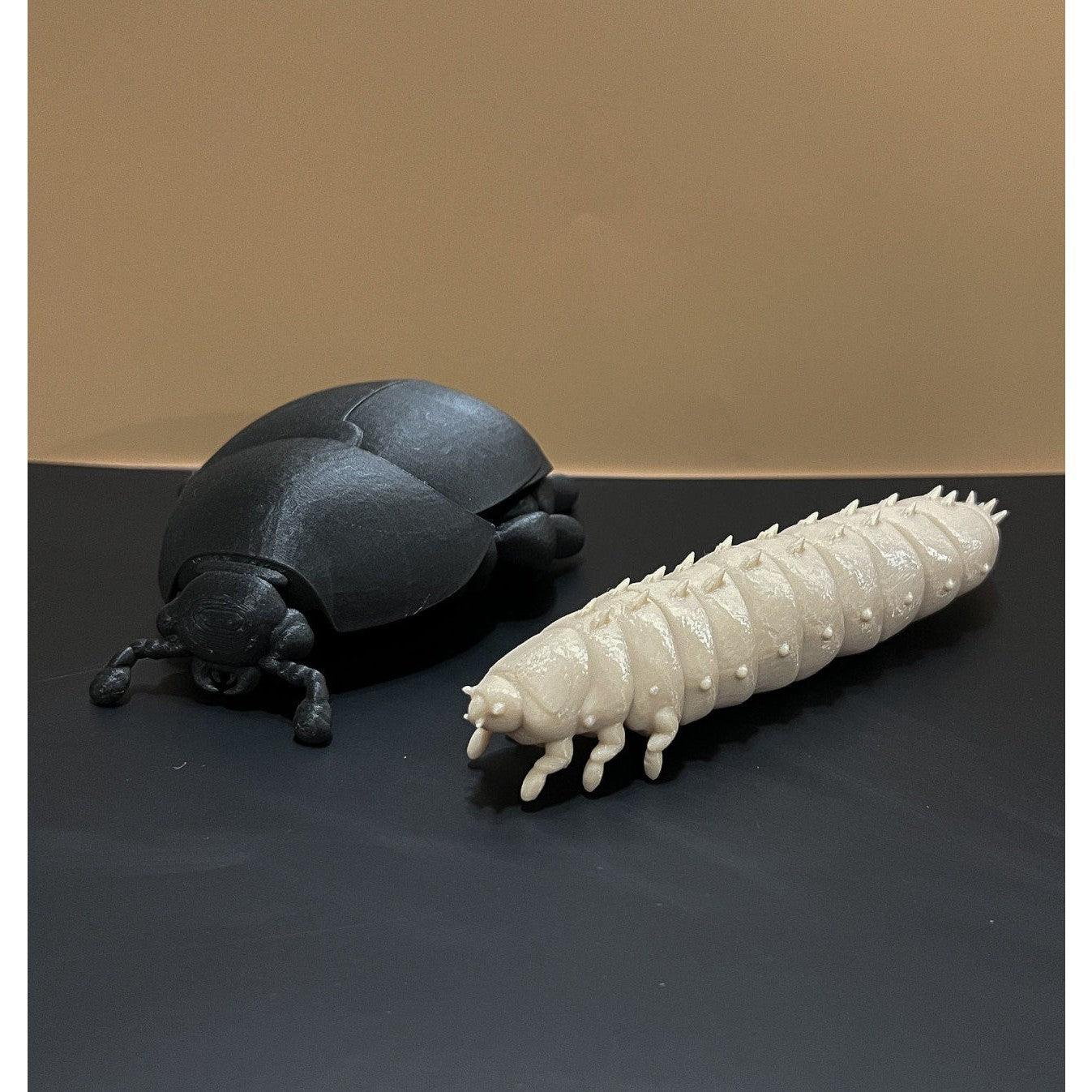 Educational Tool: 3D printed Small Hive Beetle Larva (ships directly from warehouse)