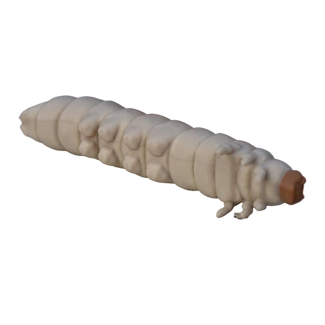 Educational Tool: 3D printed Wax Moth Larva model (ships directly from warehouse)