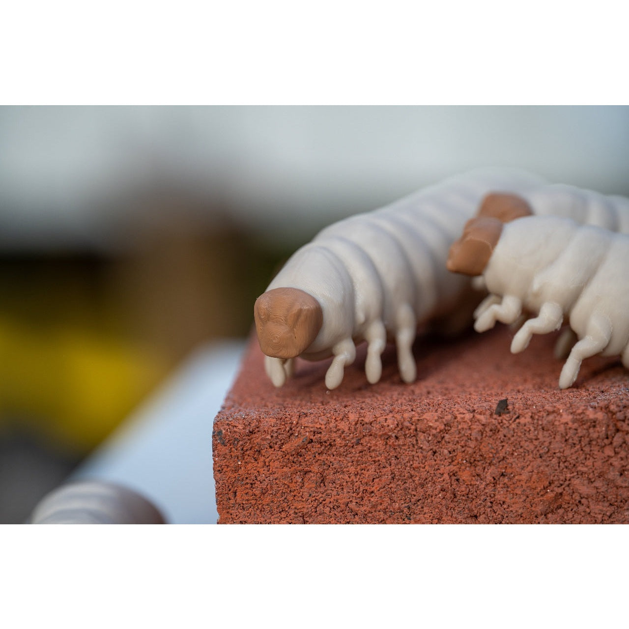 Educational Tool: 3D printed Wax Moth Larva model (ships directly from warehouse)