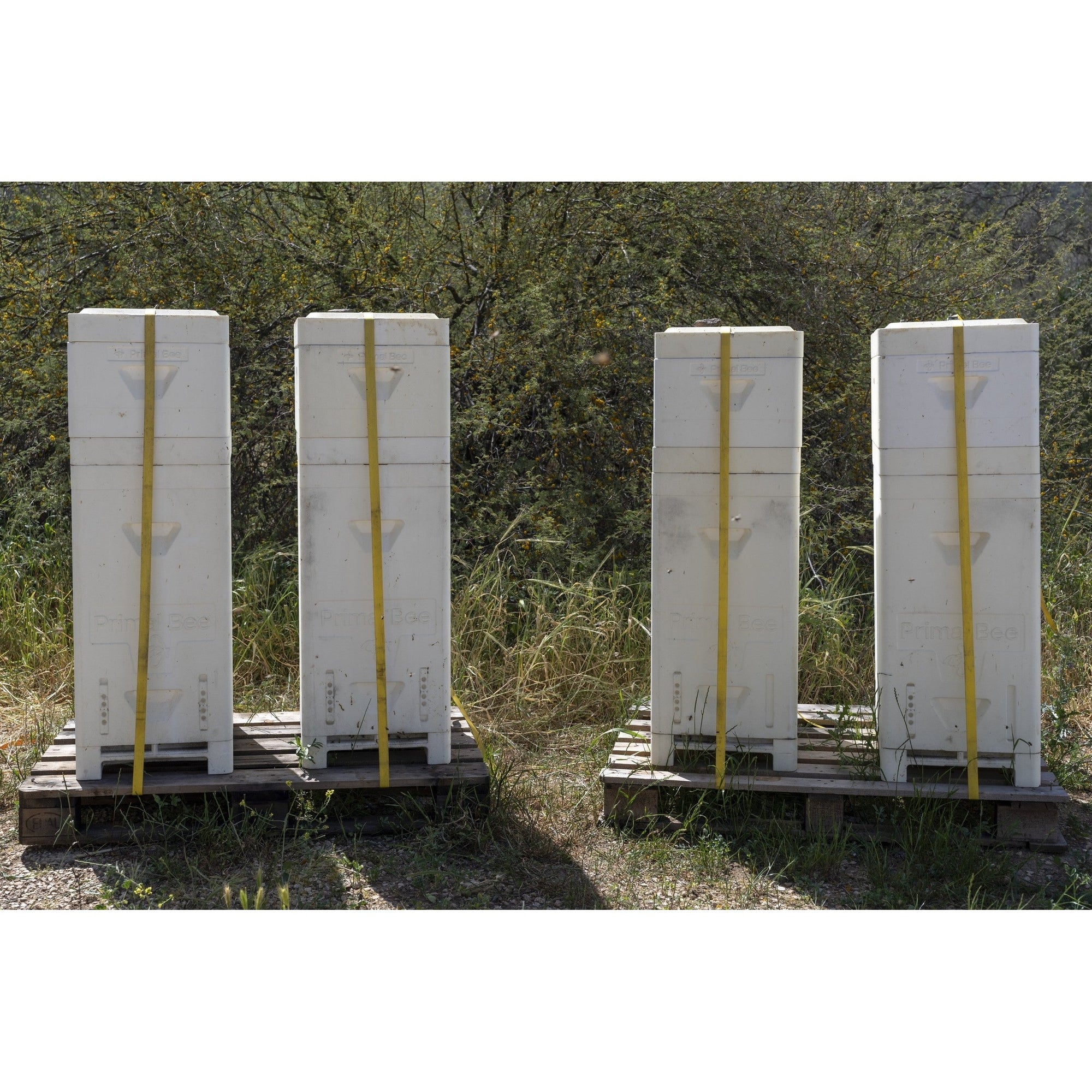 Primal Bee Hive Starter Kit  (ships directly from the warehouse)