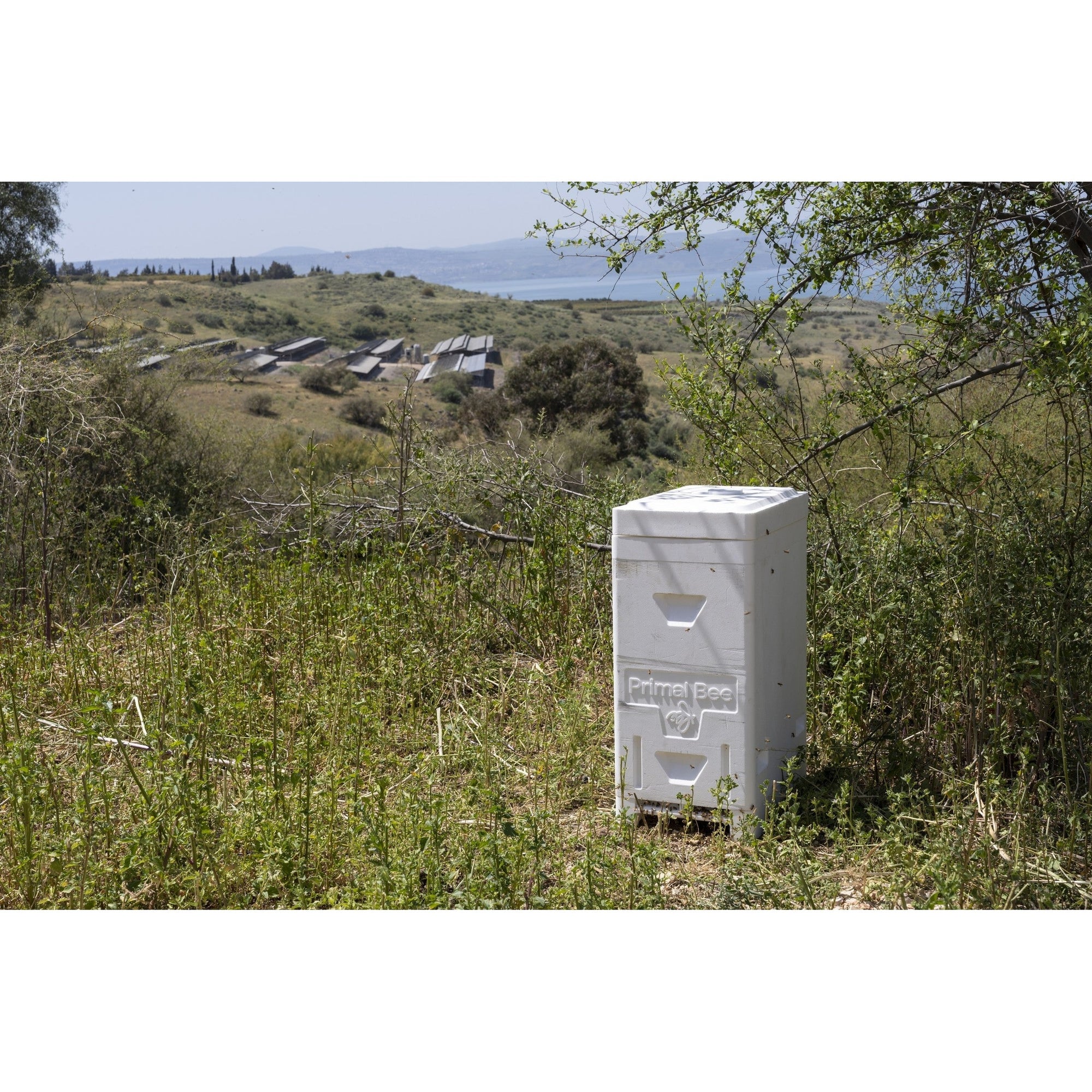 Primal Bee Hive Starter Kit  (ships directly from the warehouse)