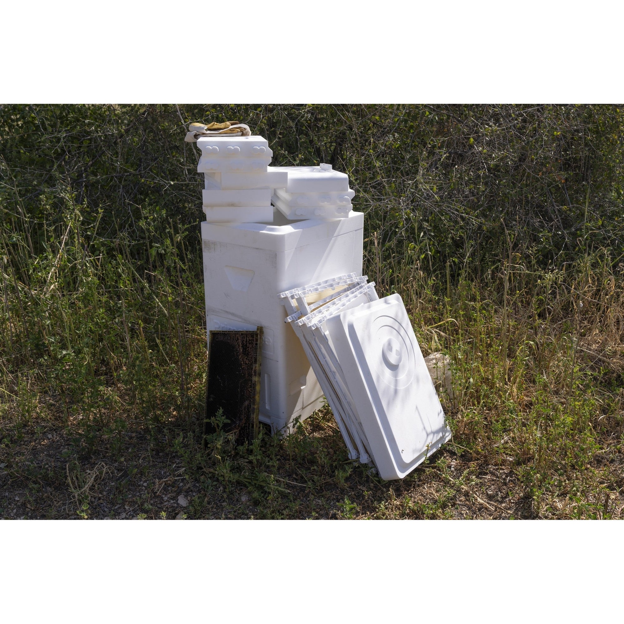 Primal Bee Hive Starter Kit  (ships directly from the warehouse)