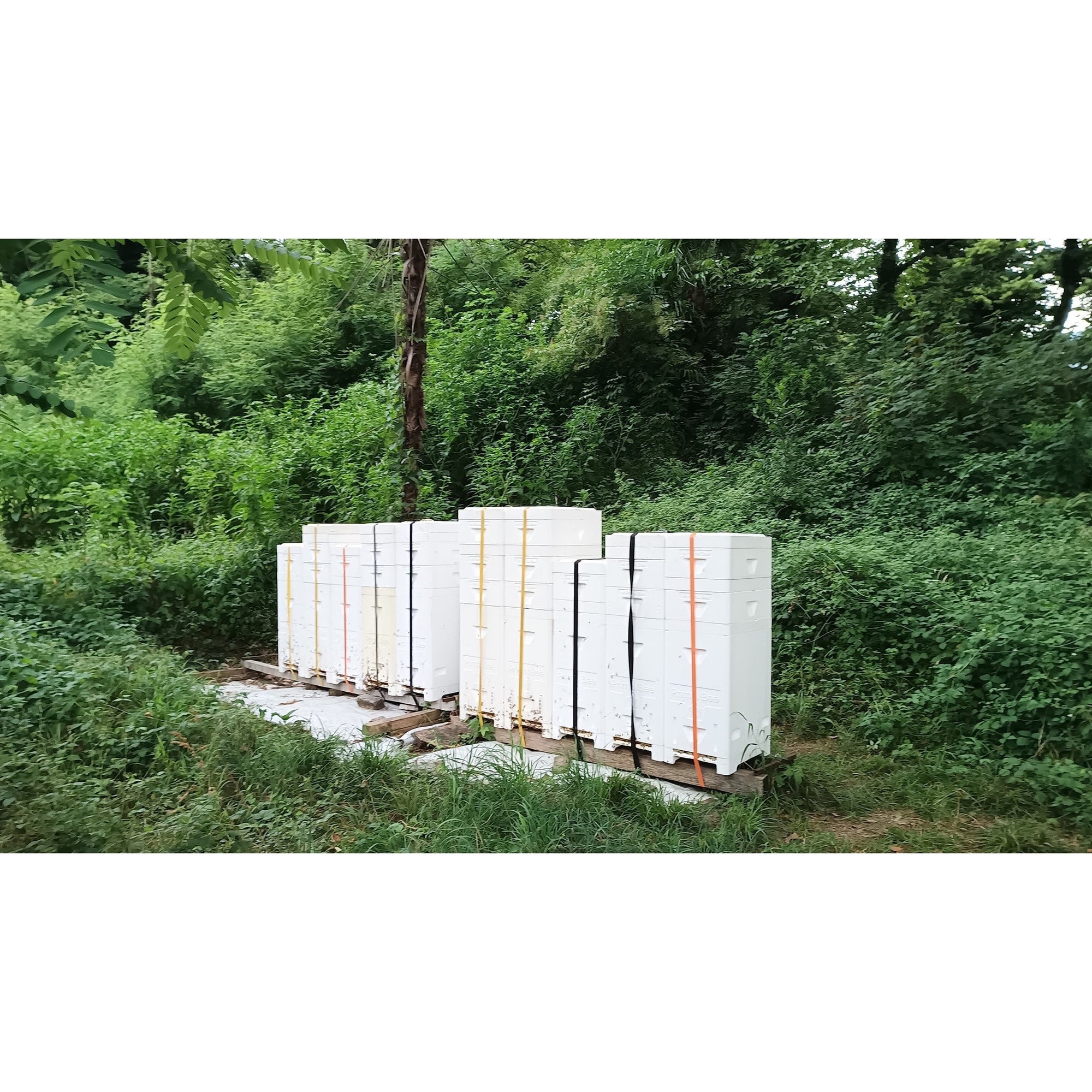 Primal Bee Hive Starter Kit  (ships directly from the warehouse)