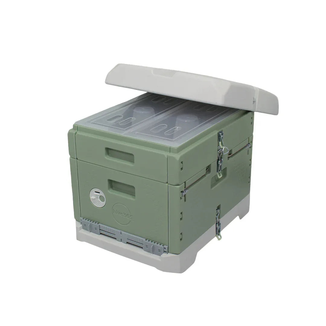 Hive365™ Premium Insulated Bee Hive - Single Deep Kit (Ships From Warehouse)