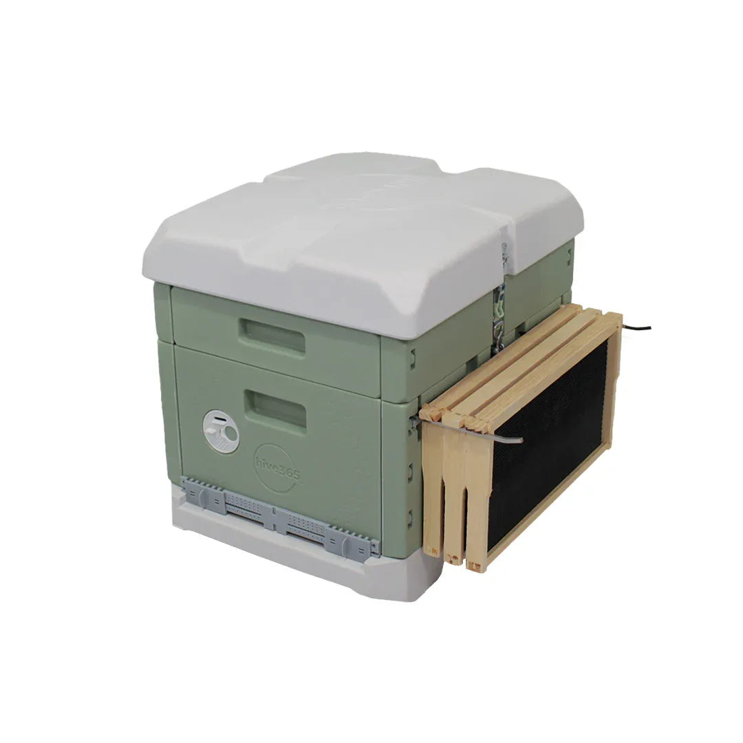 Hive365™ Premium Insulated Bee Hive - Single Deep Kit (Ships From Warehouse)