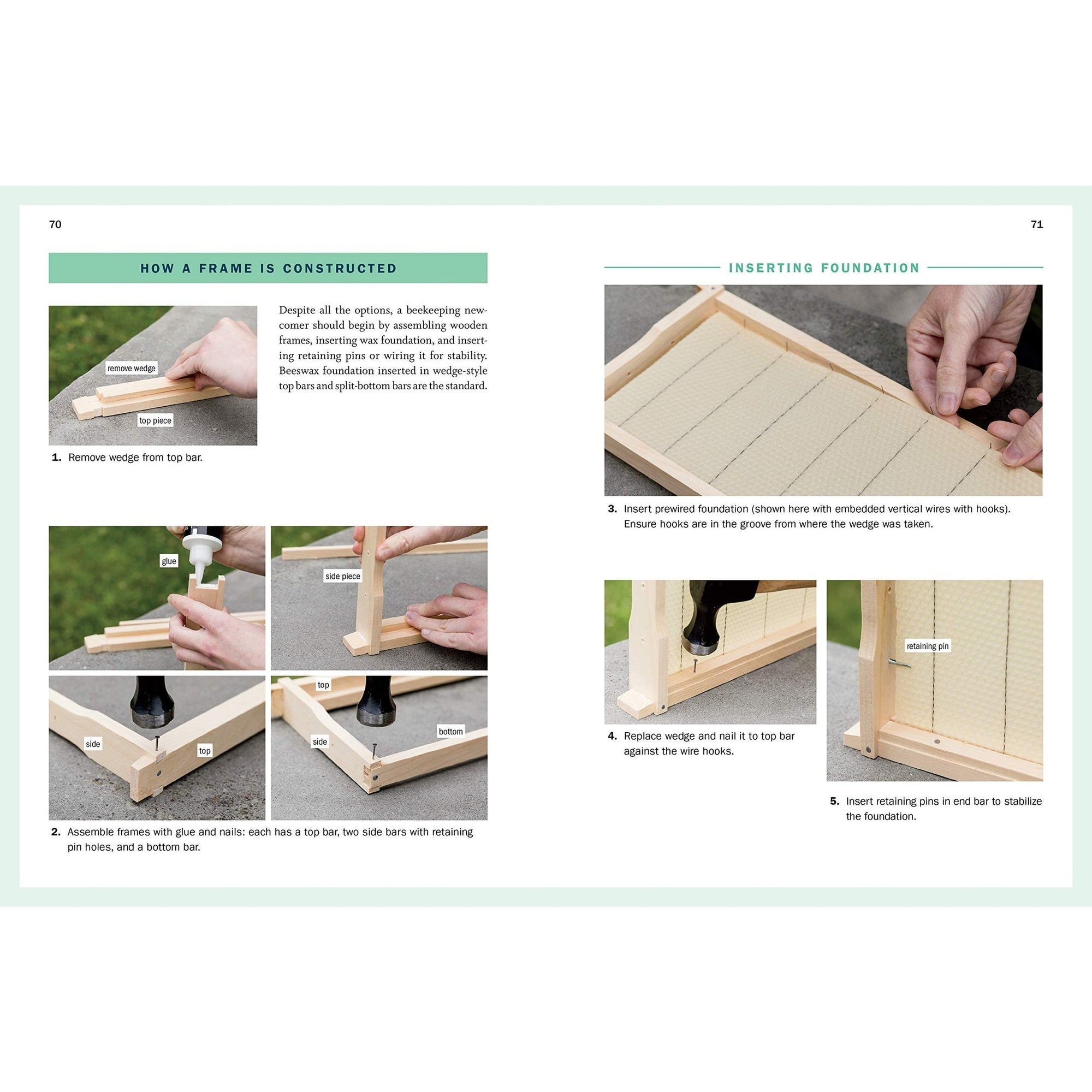 Storey’s Guide to Keeping Honey Bees, 2nd Edition