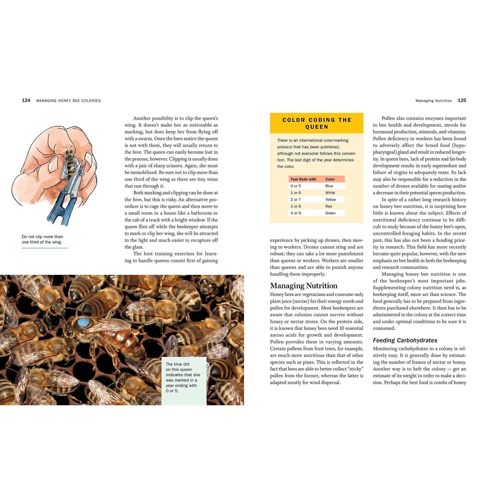 Storey’s Guide to Keeping Honey Bees, 2nd Edition