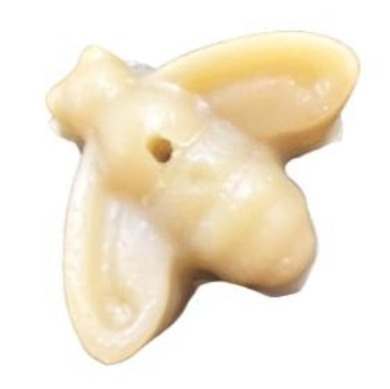 Binding Bee Wax | Rocky Mountain Bee Supply