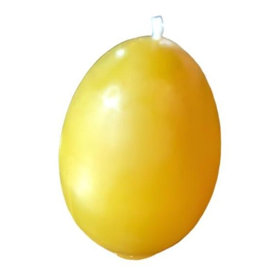 Little Egg Candle