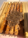 Autopsy Hive