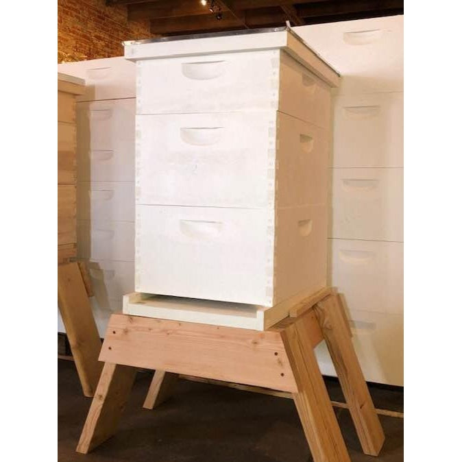 10 Frame Deluxe Expanding Kit from Rocky Mountain Bee Supply. Ideal hive kit for beekeeping.