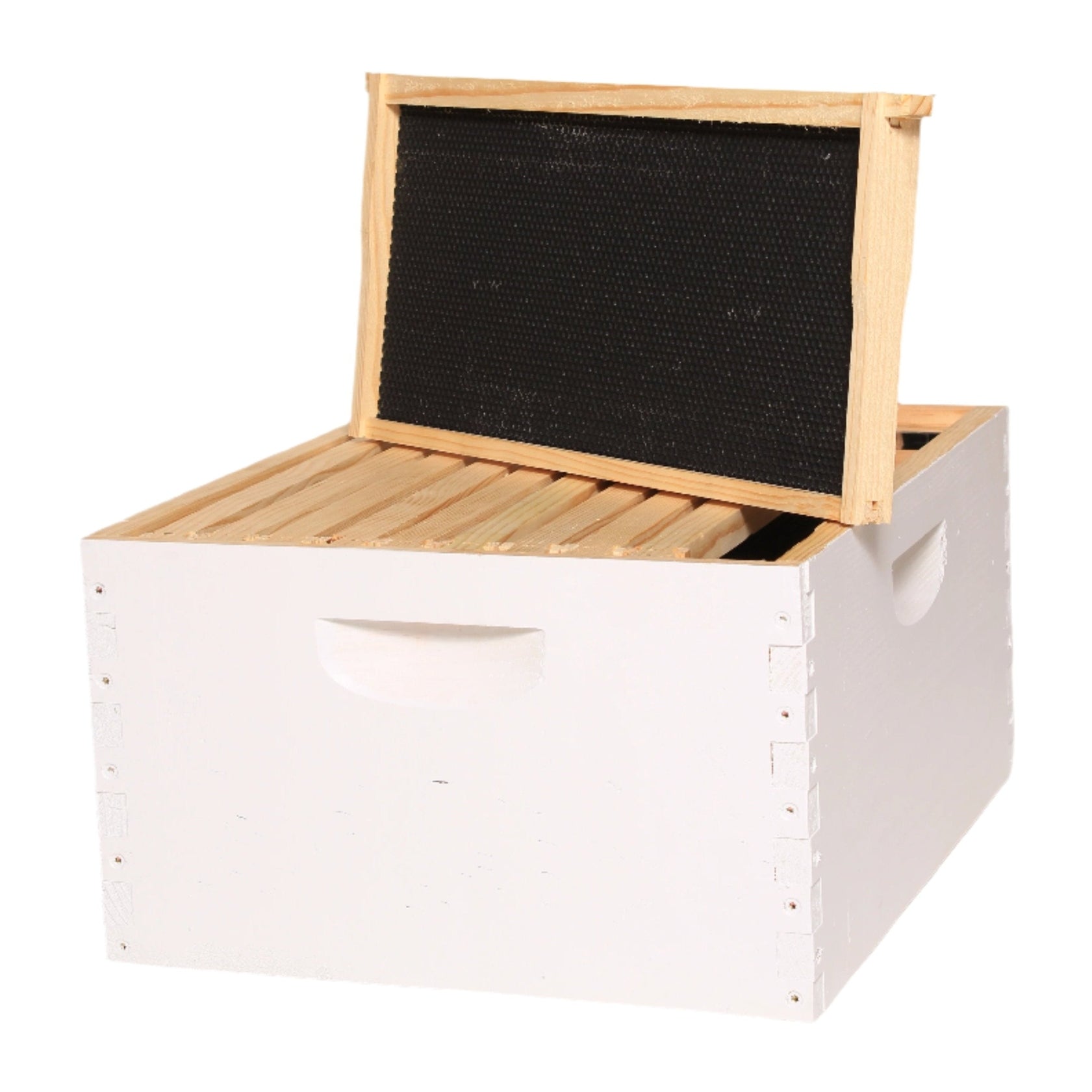 10 Frame Deluxe Deep Box with frames, painted. Quality kiln dried Ponderosa Pine 9-5/8".