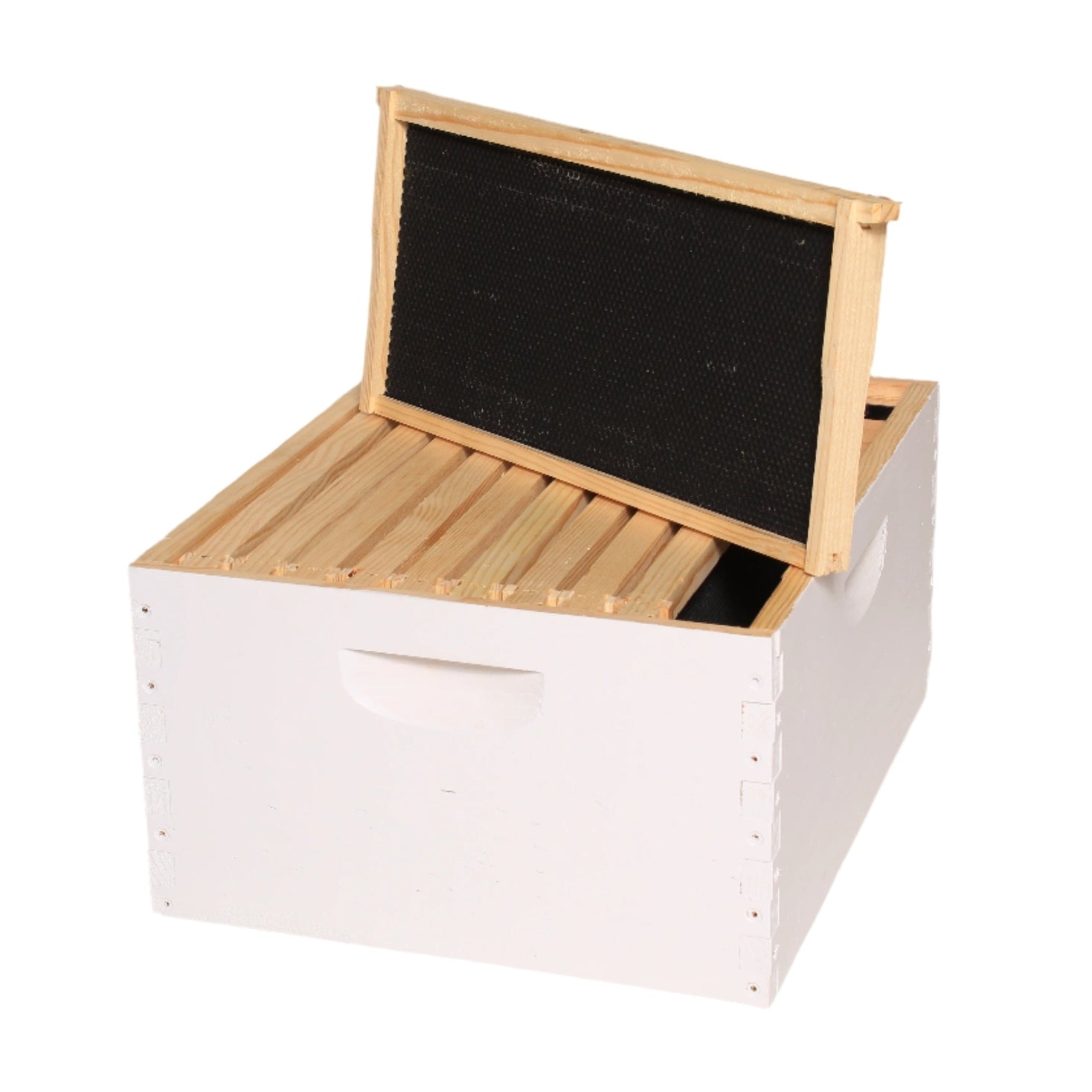 10 Frame Deluxe Deep Box with frames, painted. Quality kiln dried Ponderosa Pine 9-5/8&quot;.