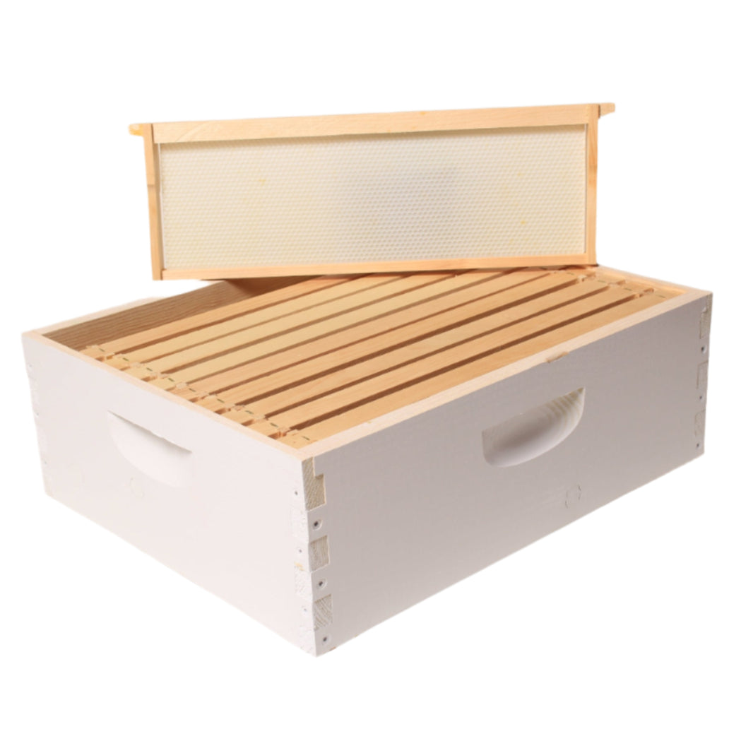10 Frame Deluxe Medium Box, painted. Quality kiln dried Ponderosa Pine 6-5/8".